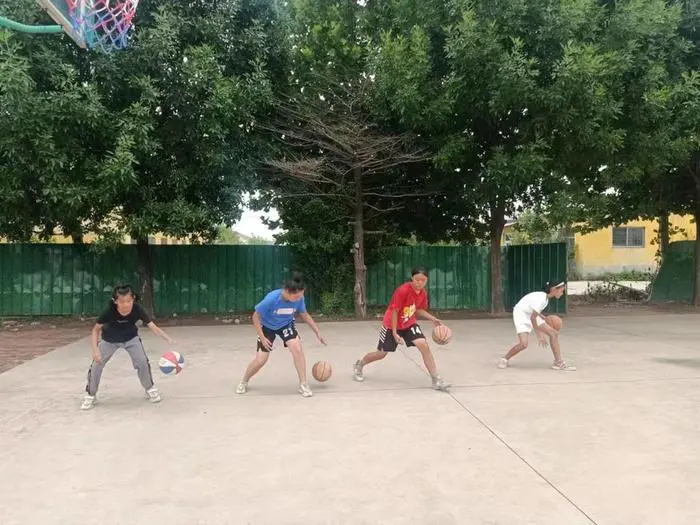 绳梯训练篮球_0